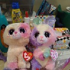 The Beanie boo Anabelle and Bloom Show